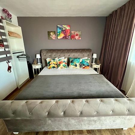 Dominic Apartment Unirii Square Тимишоара Екстериор снимка