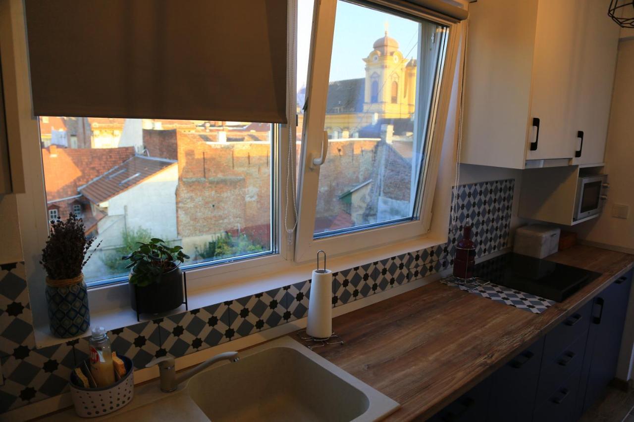 Dominic Apartment Unirii Square Тимишоара Екстериор снимка
