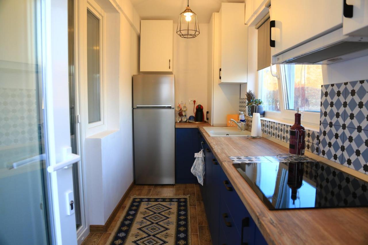 Dominic Apartment Unirii Square Тимишоара Екстериор снимка